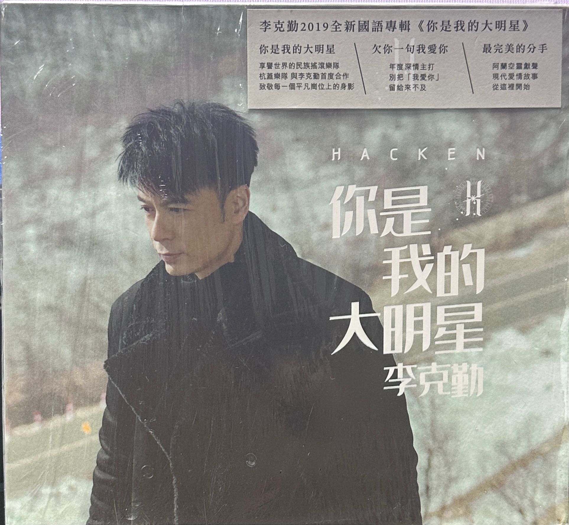 你是我的大明星