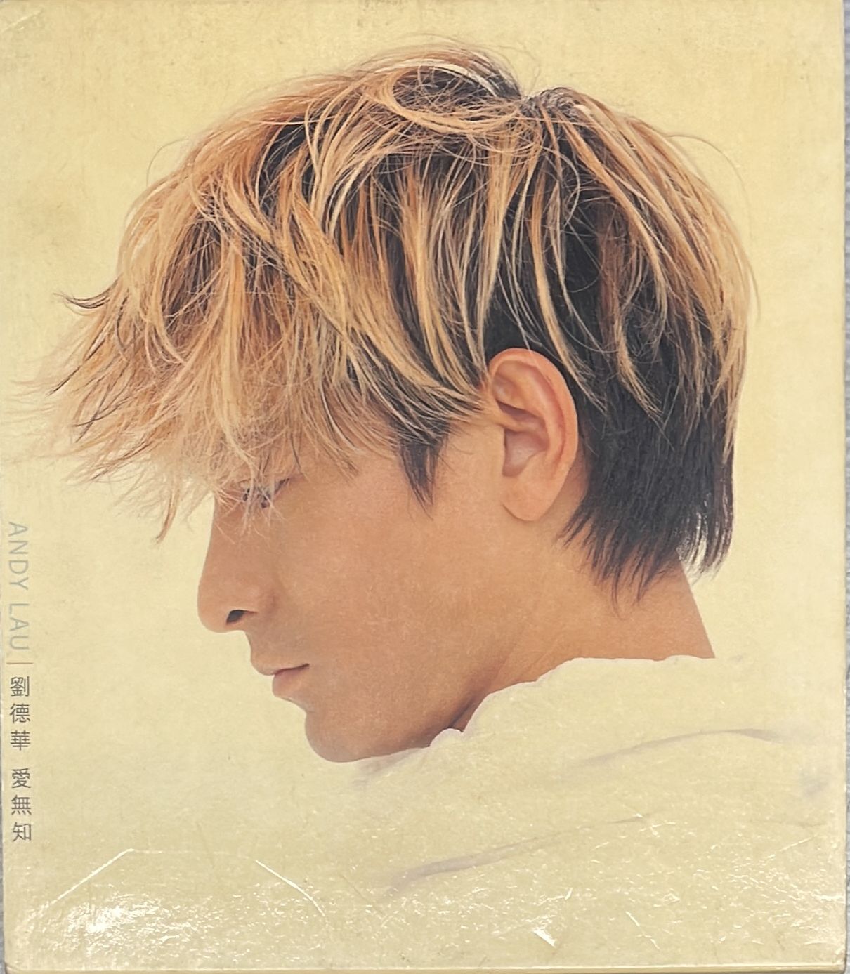 愛無知 (CD+AVCD)