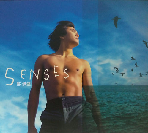 SENSES (CD+VCD)