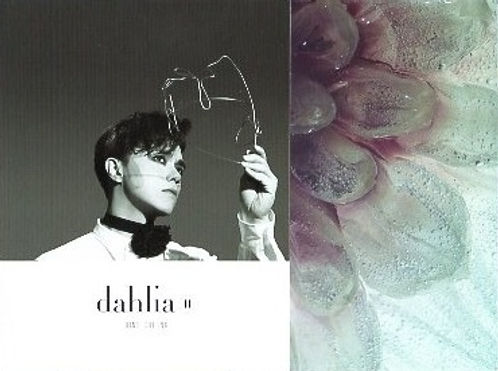 Dahlia II (德國版)