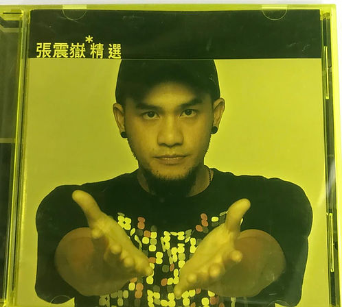 滾石香港黃金十年 張震嶽精選 A-YUE