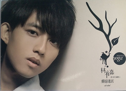 重返迷宮 影音珍藏版(CD+DVD)
