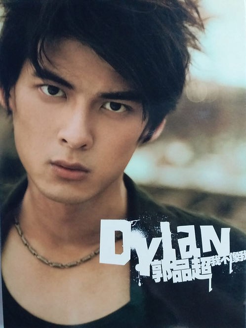 我不像我 (CD+VCD)