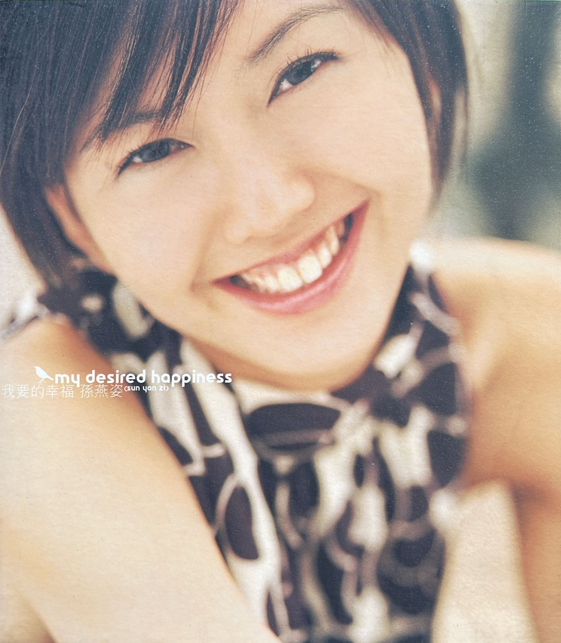 我要的幸福 (CD+VCD)