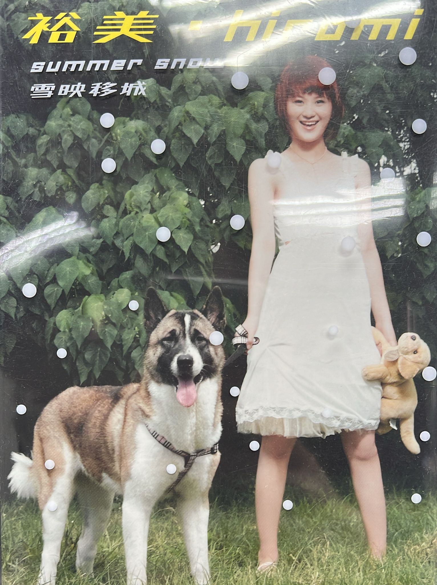 Summer Snow (CD / DSD+DVD)