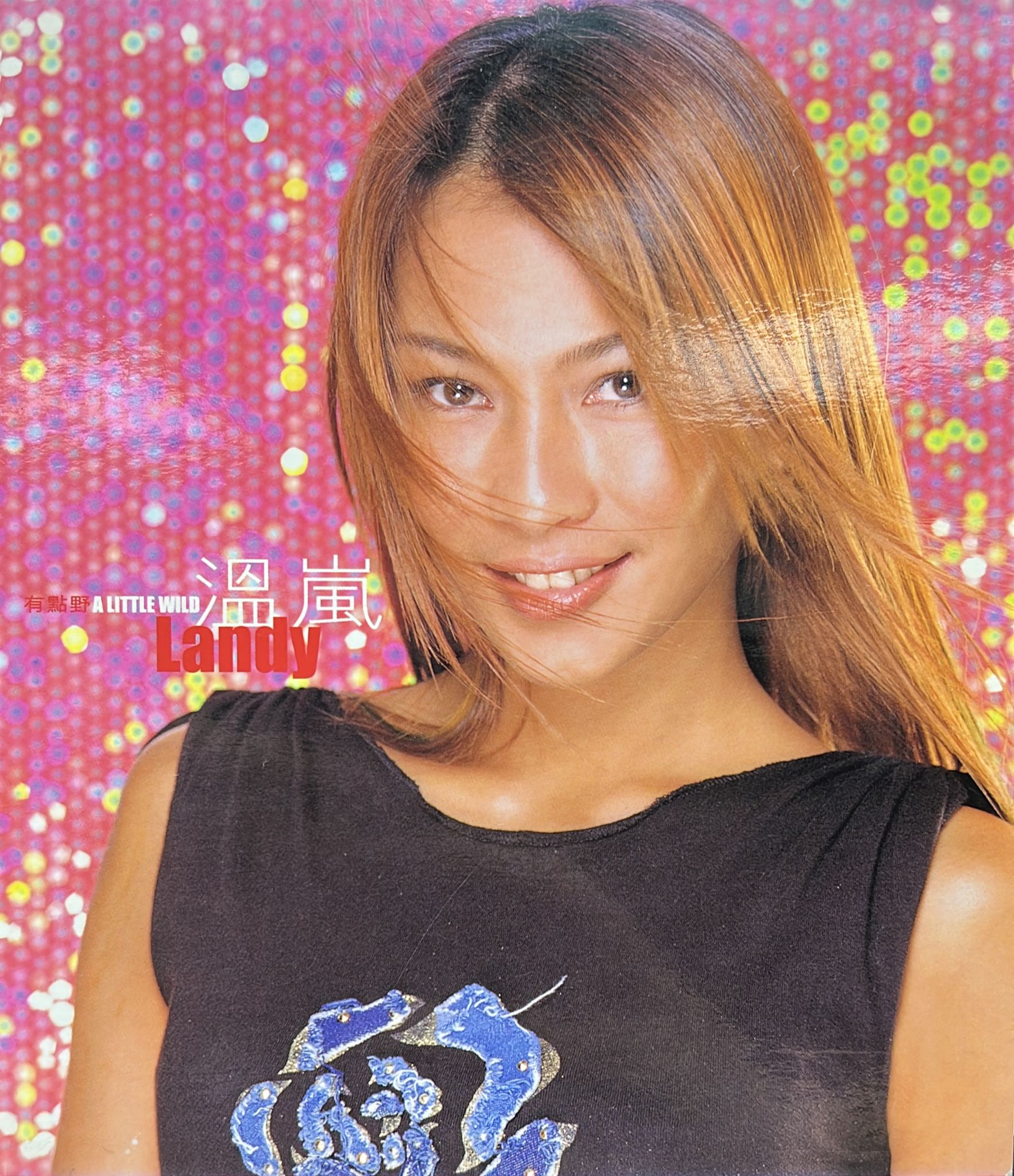 有點野 (CD + VCD)