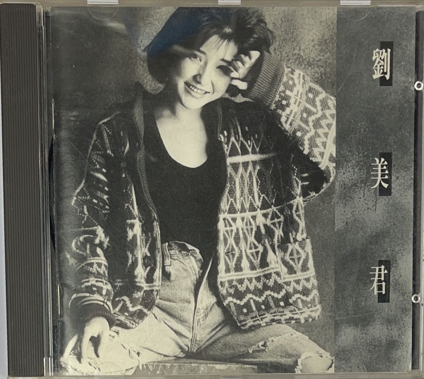 劉美君 (天龍濛字版)