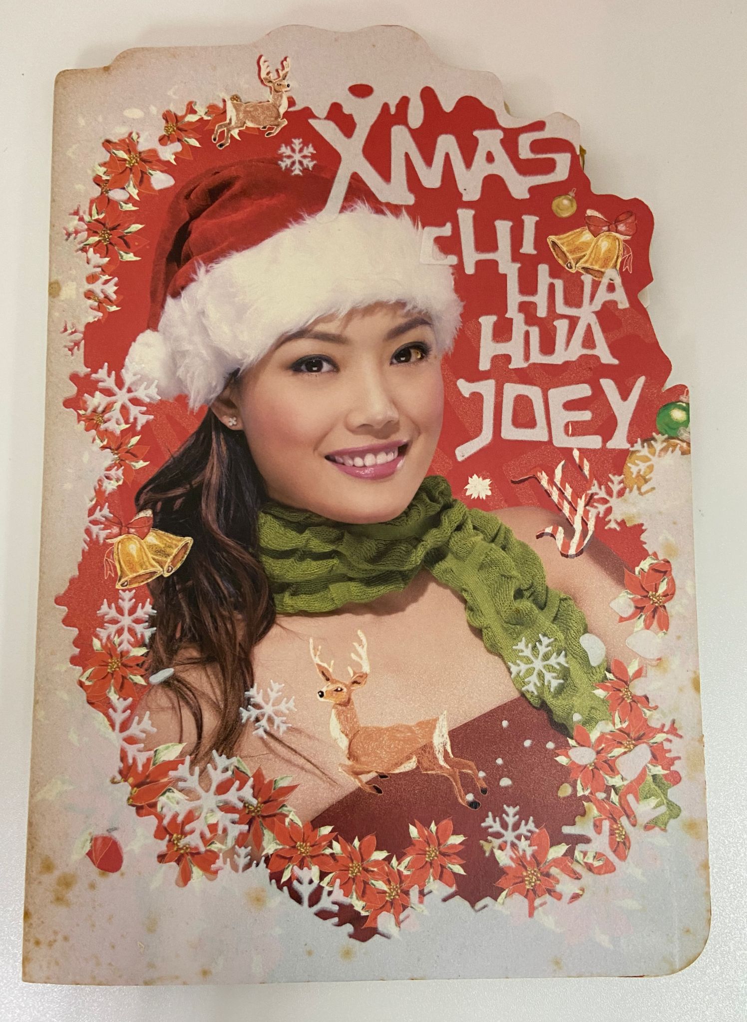X'mas Chihuahua