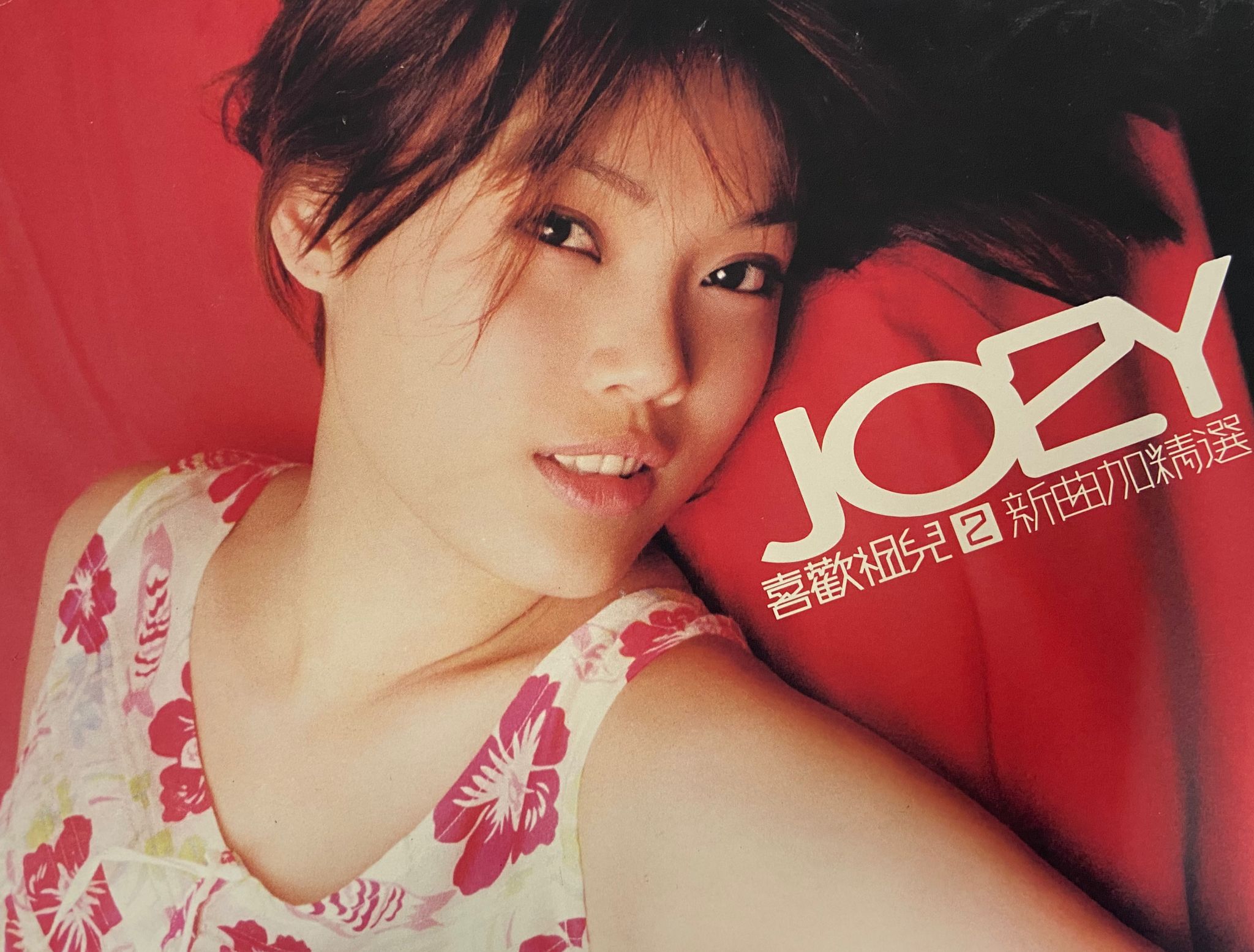 Joey喜歡祖兒2 新曲加精選（CD+AVCD）