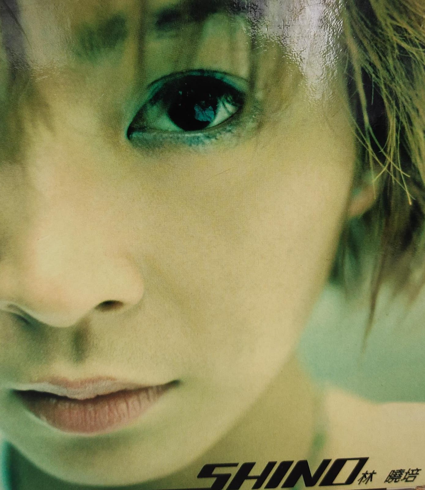 Shino (CD+VCD)