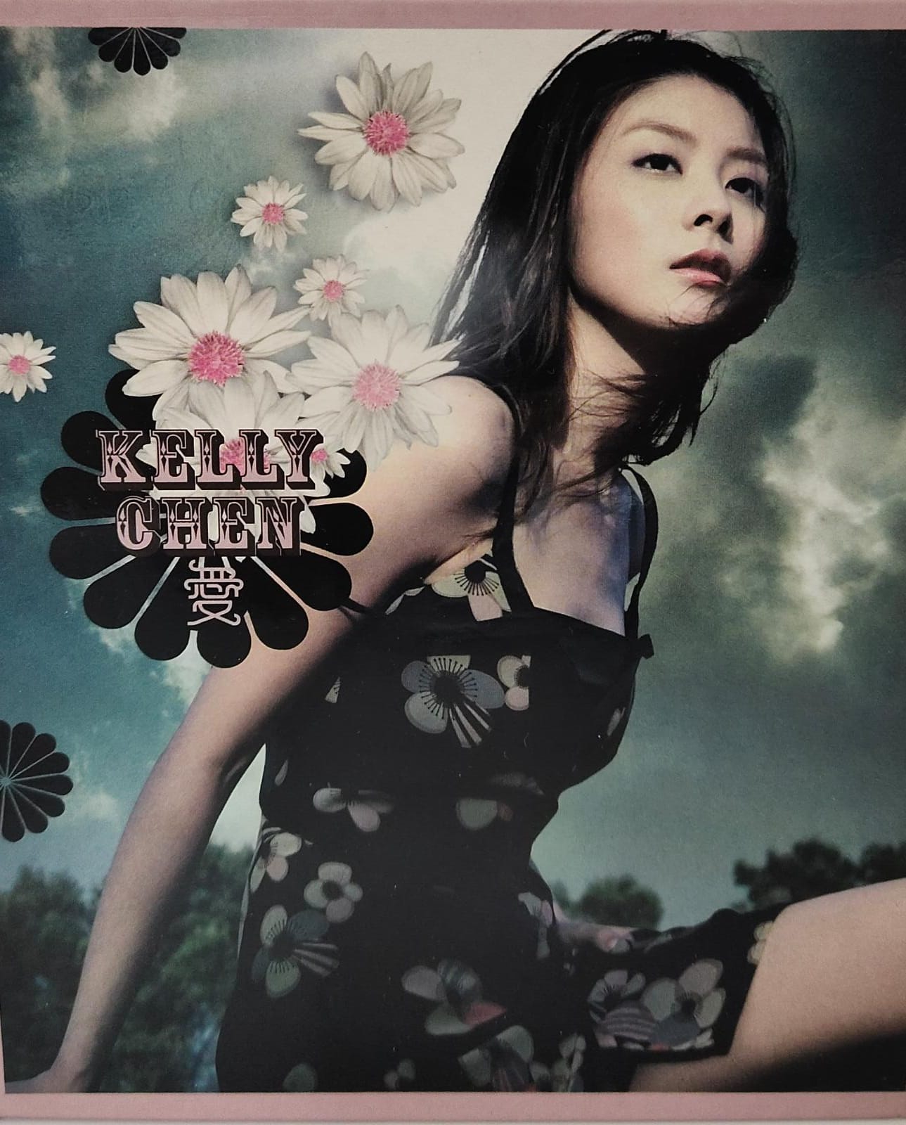 愛 (CD+VCD)