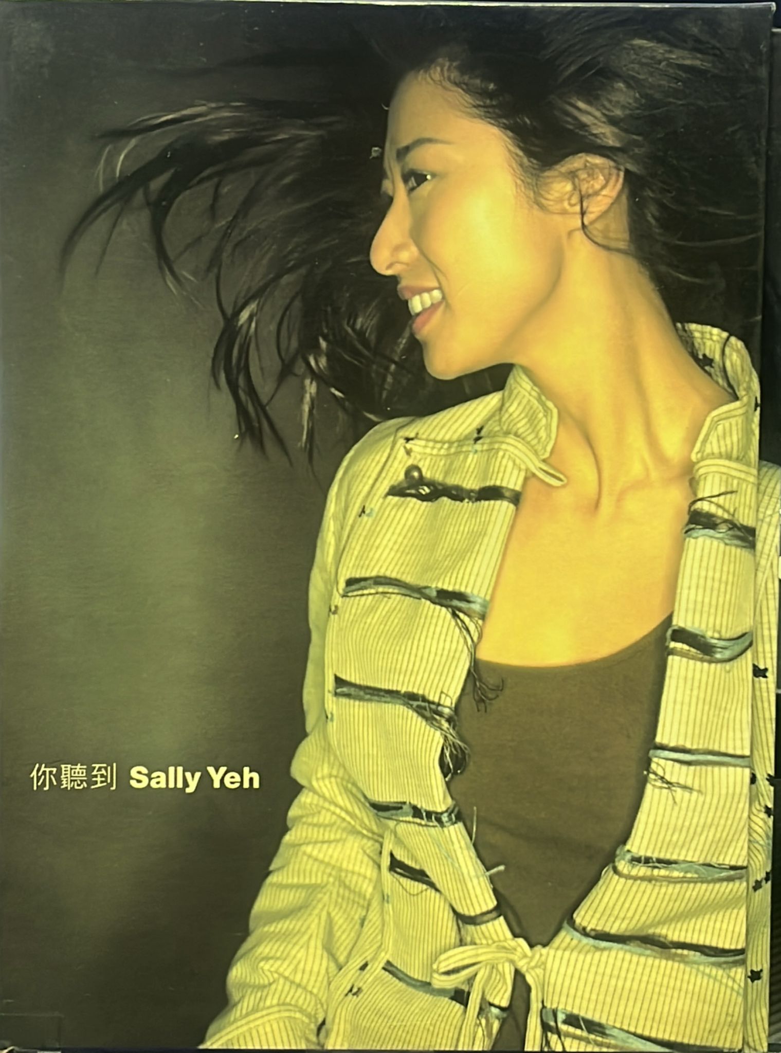 你聽到 (CD+VCD)