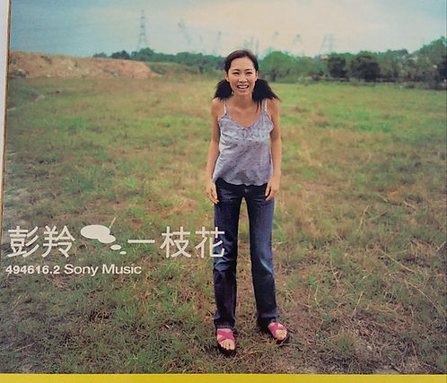 一枝花 (CD + VCD)