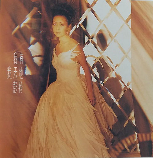 我有我天地 (CD+VCD)