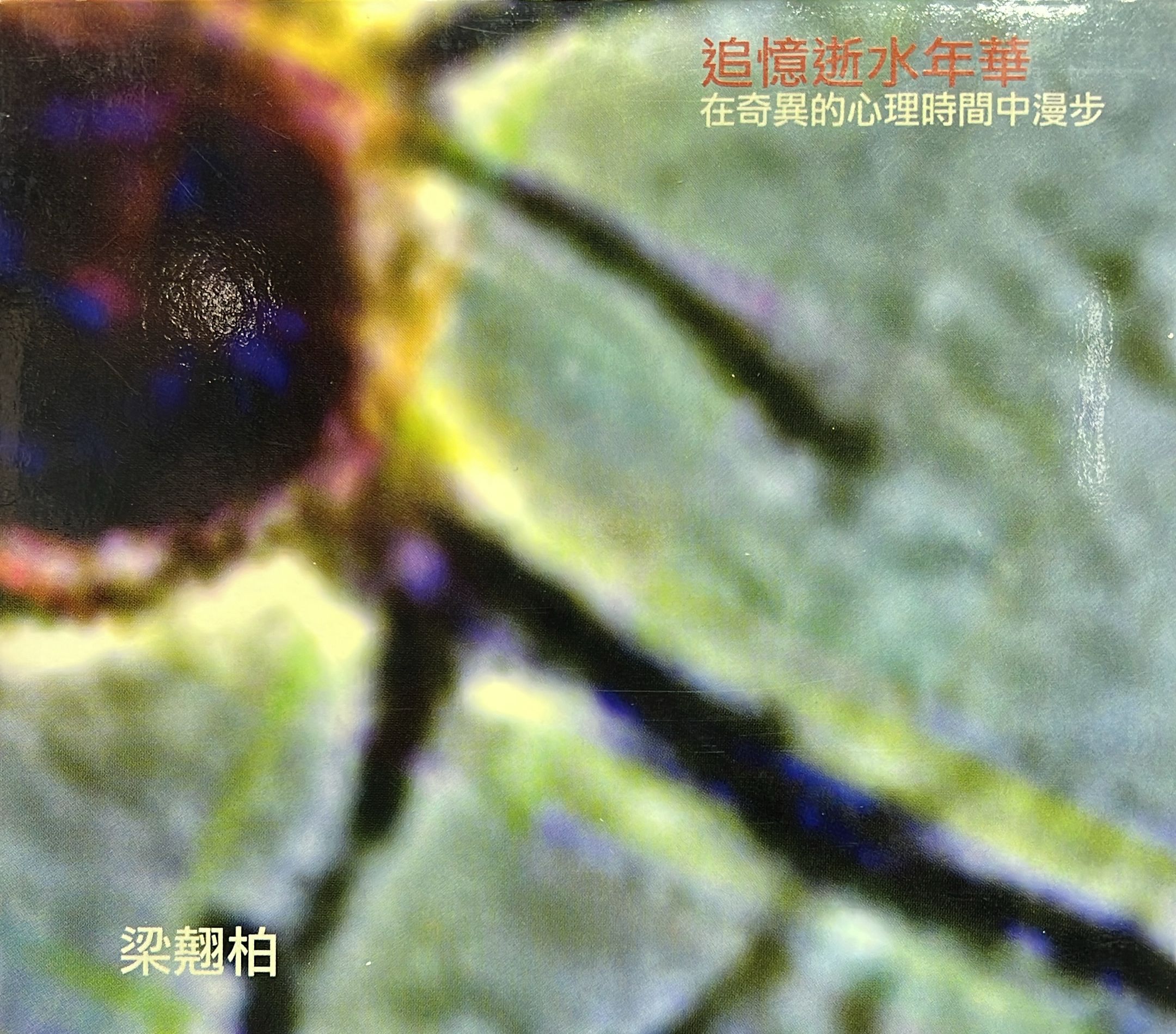 追憶逝水年華 在奇異的心理心間中漫步