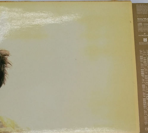 賞味人間 (CD+VCD)