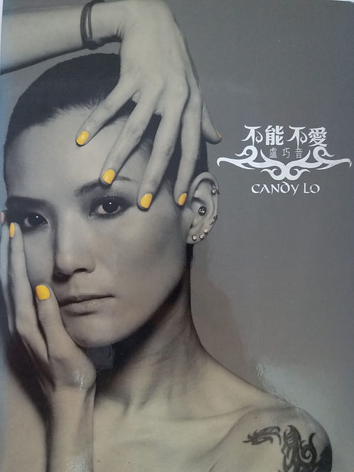 不能不愛 (2 CD/DSD)