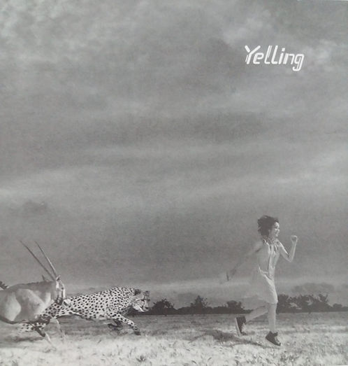 Yelling (CD+DVD)