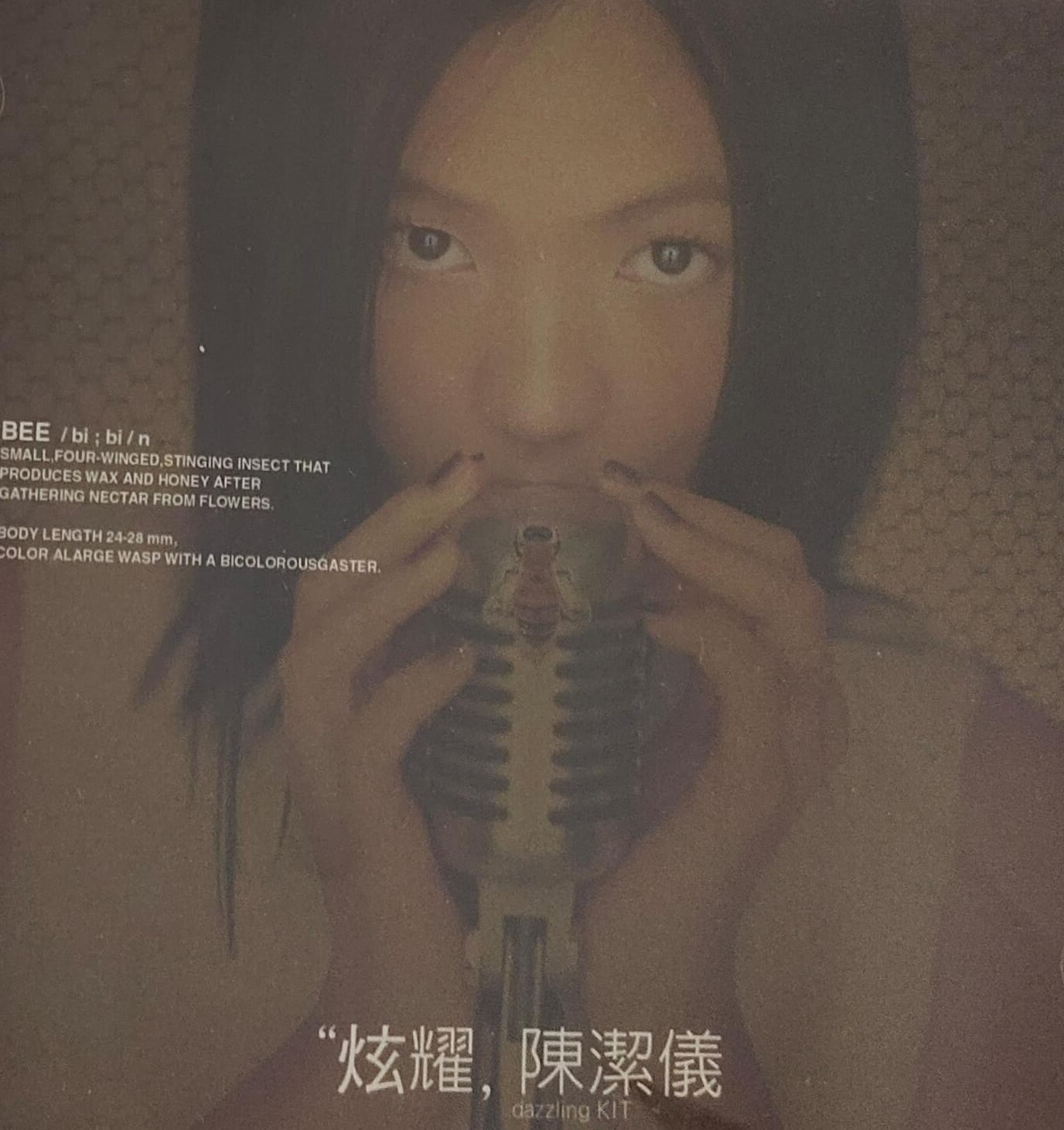 炫耀 (CD+VCD)