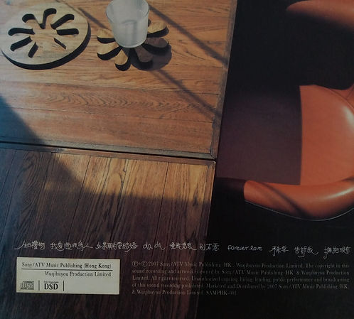 擁抱現在 (DSD)