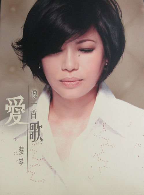愛像一首歌 (CD+DVD / Manufactured In Germany)