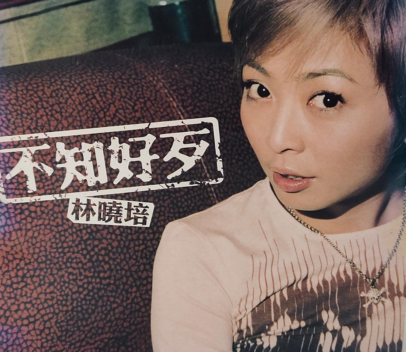 不知好歹 (CD+VCD)
