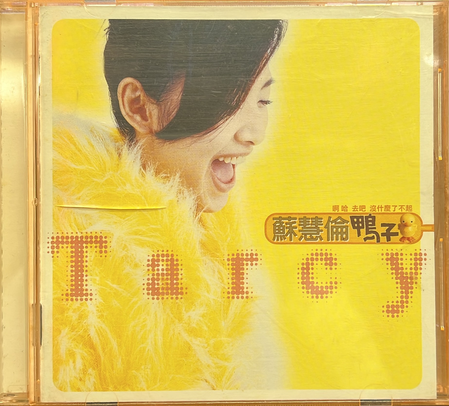 鴨子