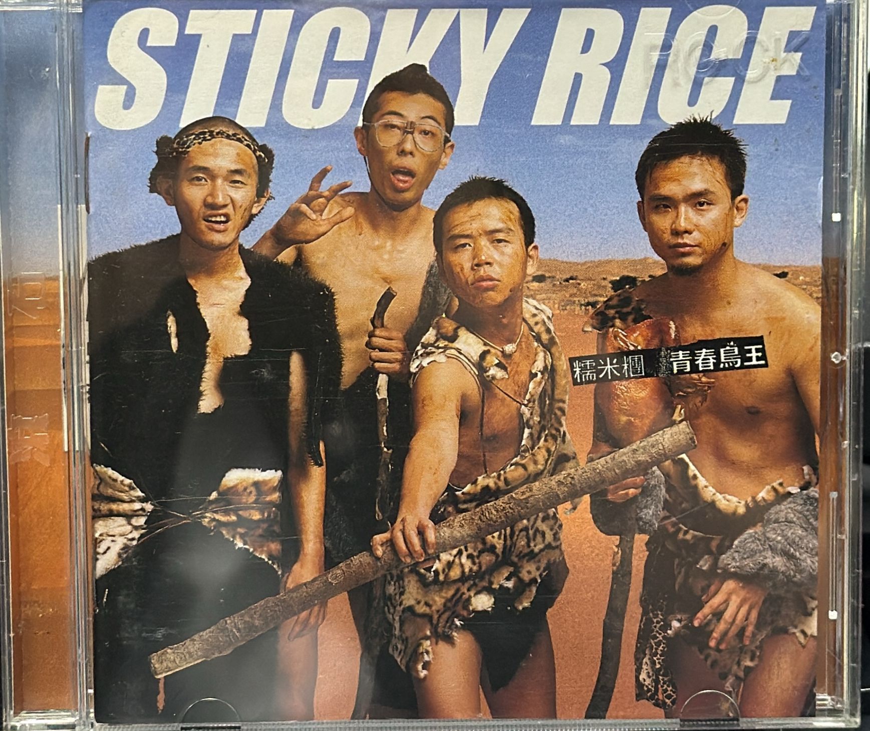 青春鳥王