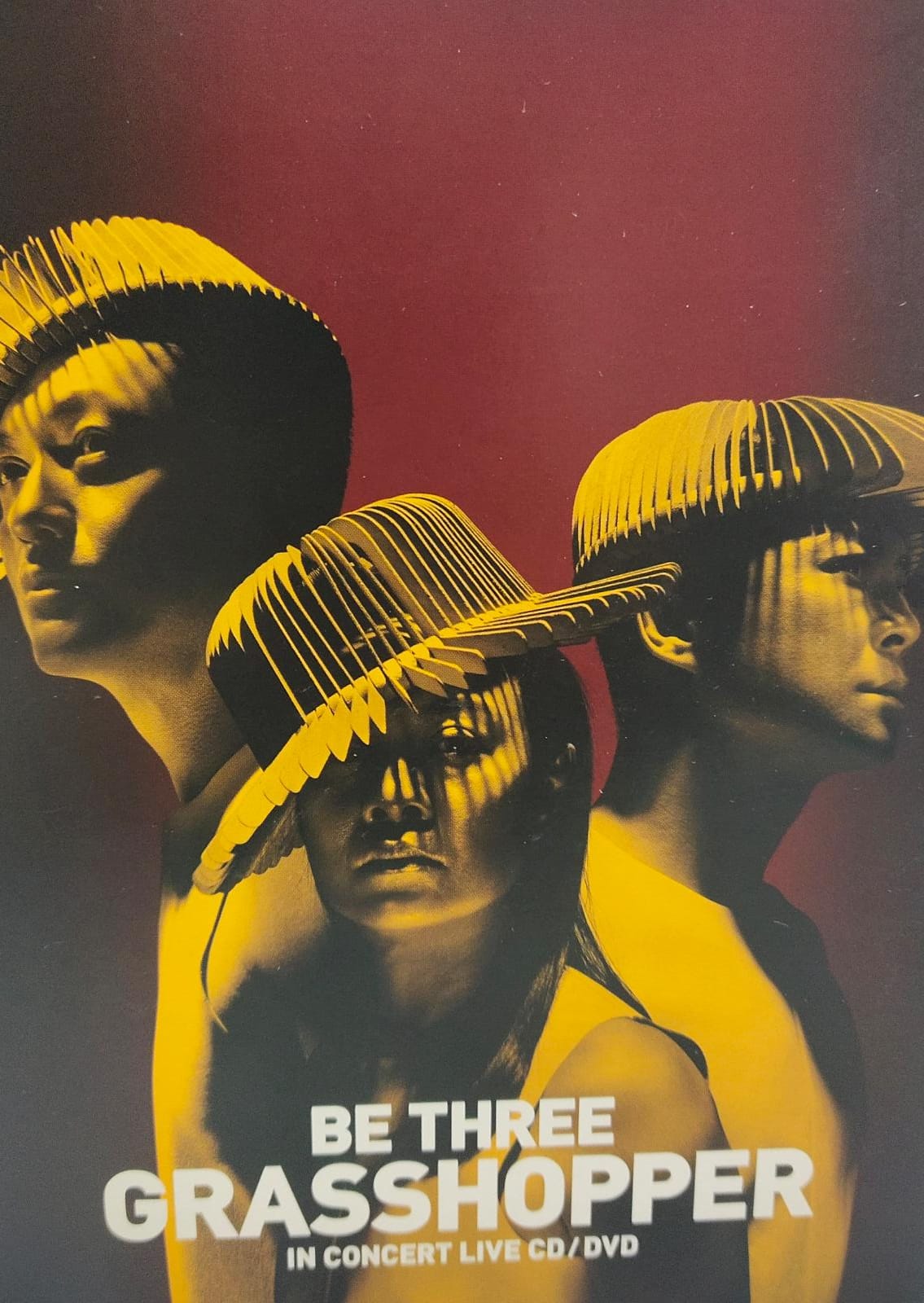 Be Three Grasshopper In Concert Live 2CD+2DVD