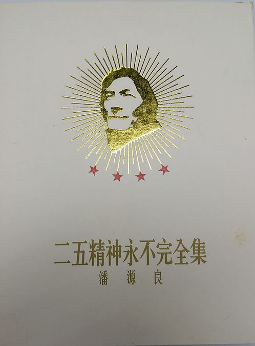 二五精神永不完全集 (4 CD/DSD)