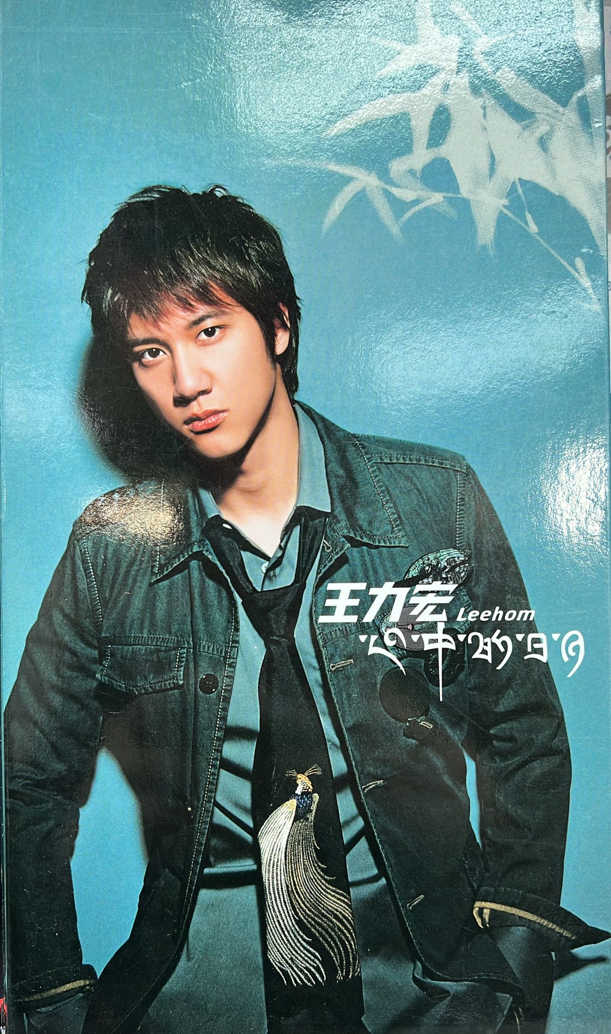 心中的日月 (慶功版) (CD + VCD)