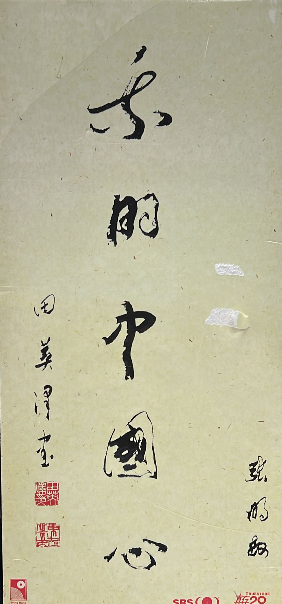 我的中國心 (金碟)