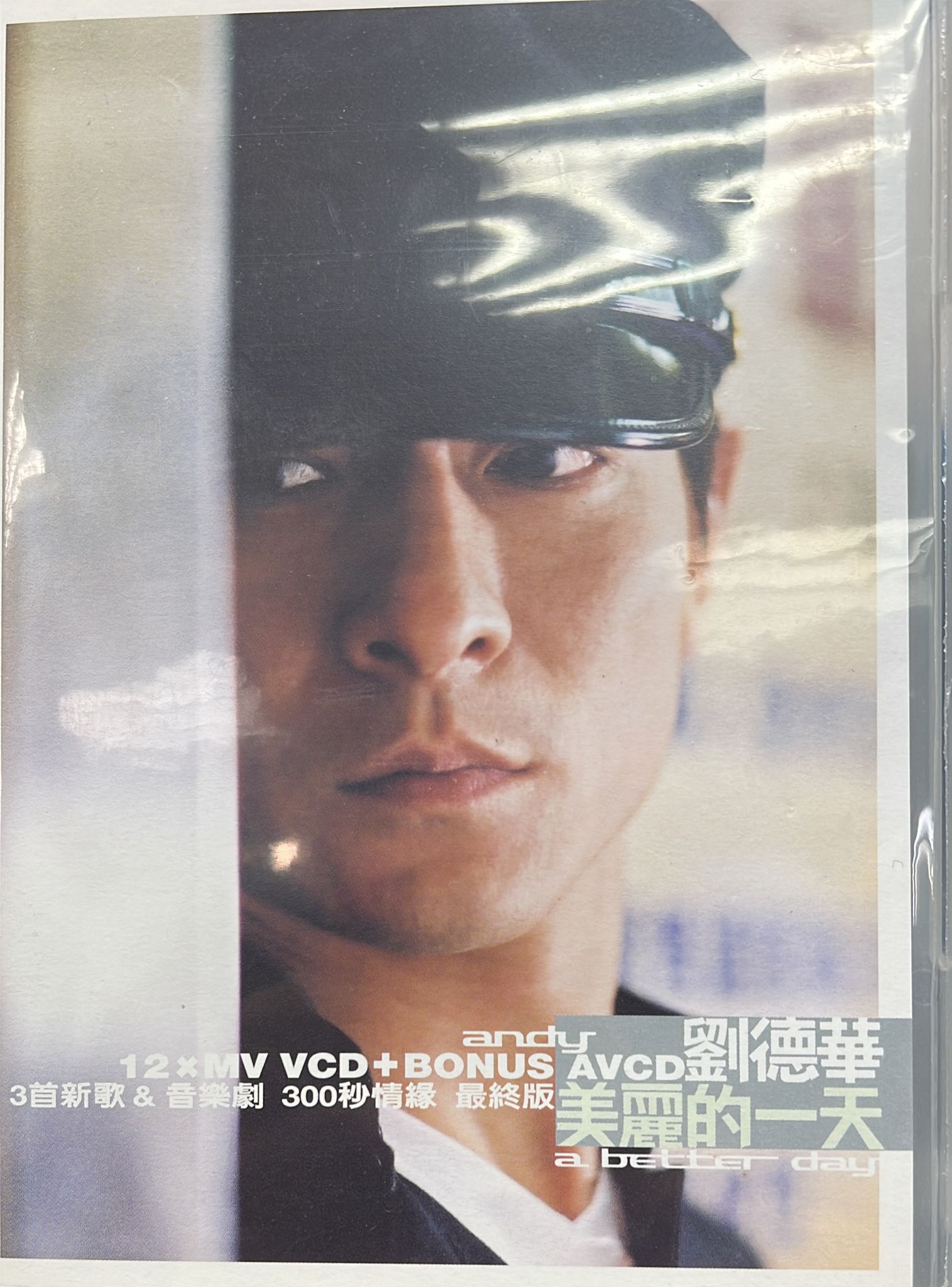 美麗的一天 (VCD+AVCD)