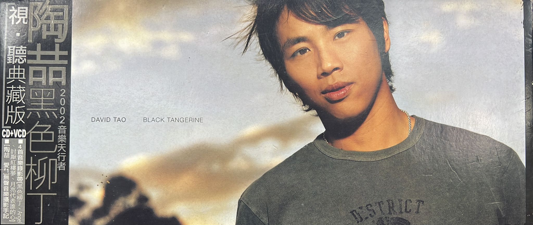 黑色柳丁(視聽典藏版 CD+VCD)