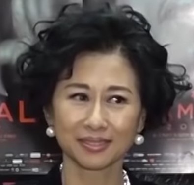 葉蒨文 林子祥