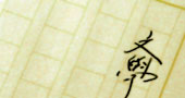 蓓蕾