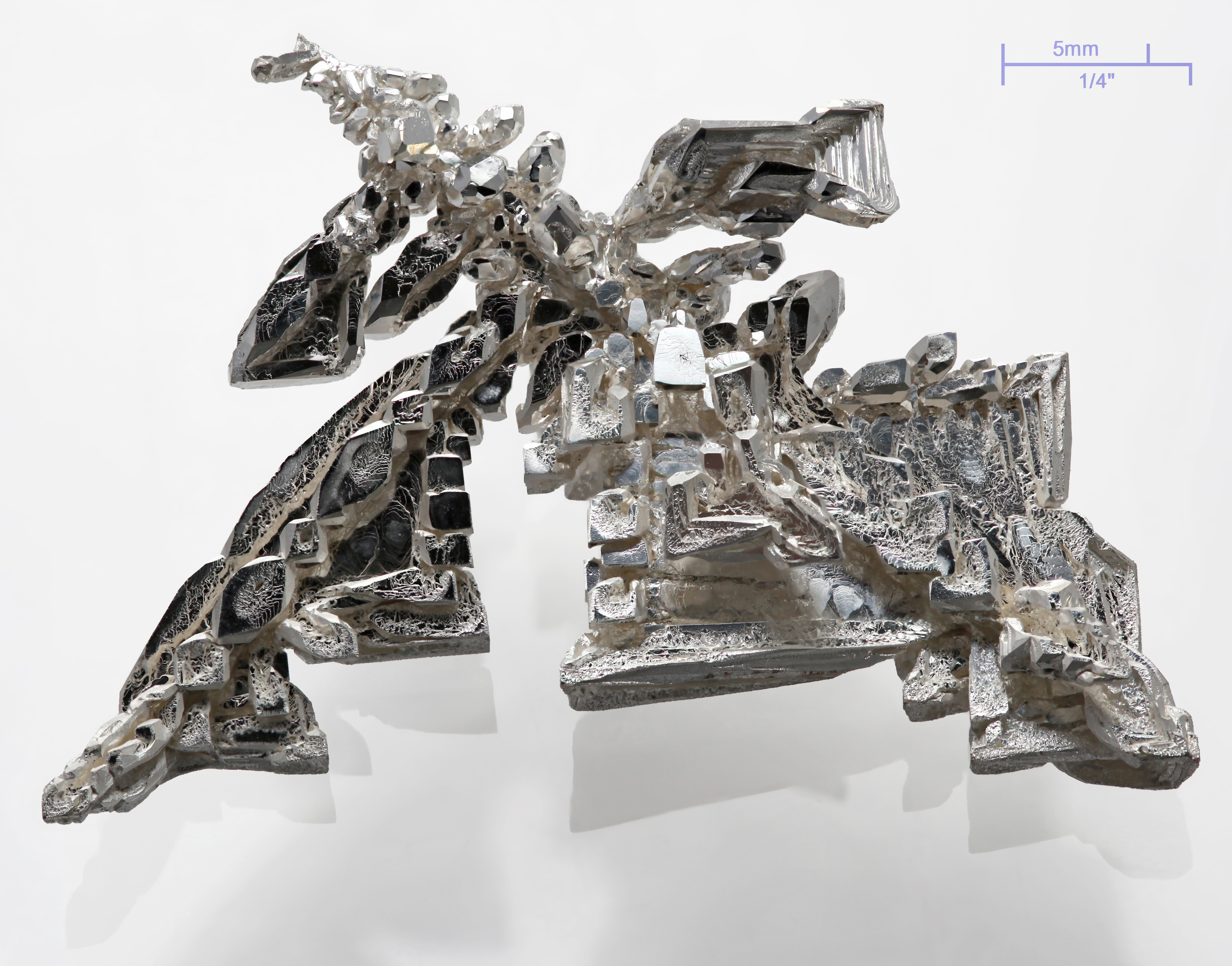 阿銀 Silver